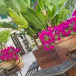 Mirabella In Ortigia Apartman *